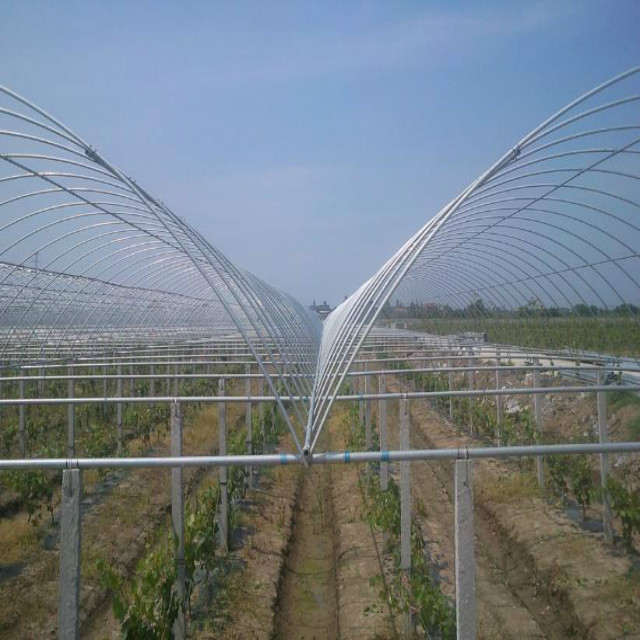 timg (9) _09.jpg